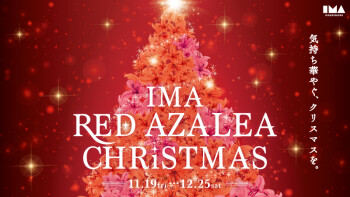 【11月～12月イベント】 IMA RED AZALEA CHRISTMAS開催！