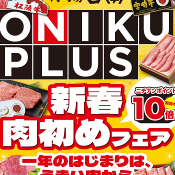 肉巧房日南「ONIKU PLUS」