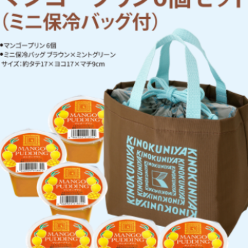 【新商品】マンゴープリン６個セット