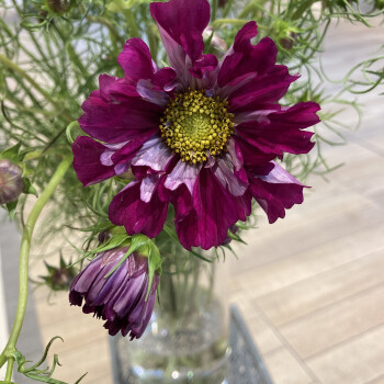 Fleur Message ショップガイド 光が丘ima Fleur Message ショップガイド 光が丘ima