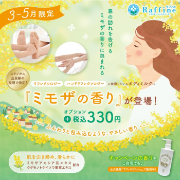 【期間限定】ミモザの香りが新登場！