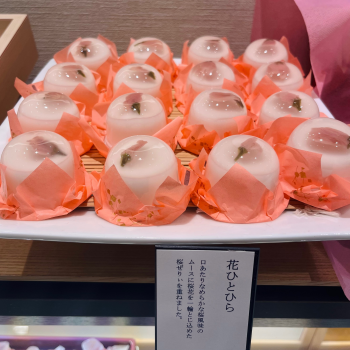花ひとひら🌸入荷しました❣️