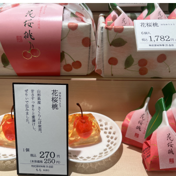 花桜桃2月13日入荷予定❣️