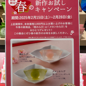 数量限定🩷新作お試しキャンペーン