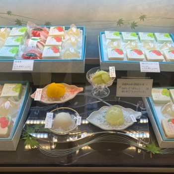 ぜりぃしゃーべっと入荷情報🩷ྀི