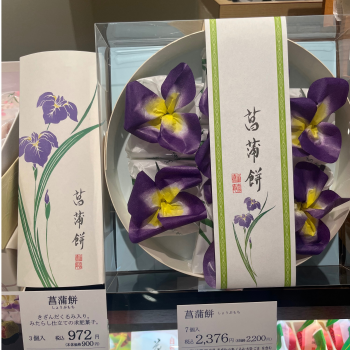 ☺️🩷ྀི新商品のご案内🩷ྀི☺️